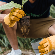 Clúster Café Selva Central 