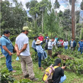 Clúster Café Selva Central