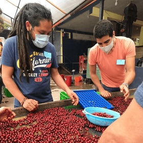 Clúster Café Selva Central 