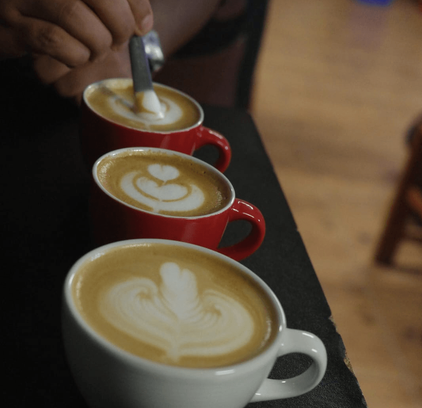 Clúster Café Selva Central 