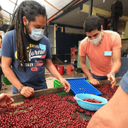 Clúster Café Selva Central 